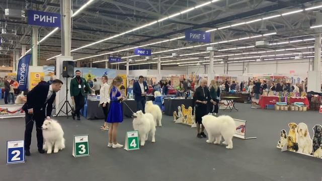 IDS “Огни Прикамья - 2019» смотреть онлайн