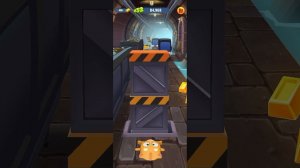 томик том за золотом