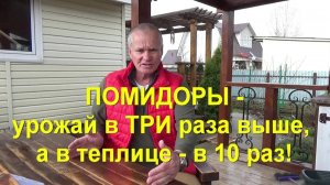 57. Высаживаем помидоры по методу Маслова на троекратный урожай!