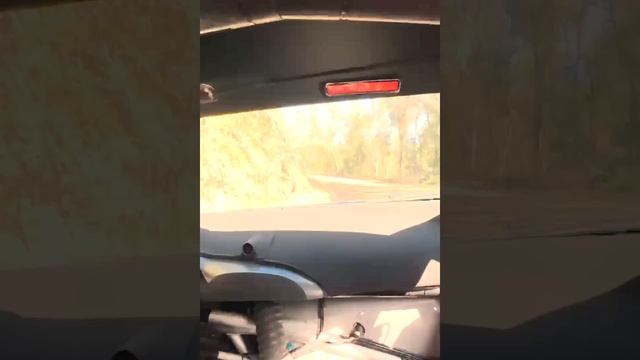 Fui Copiloto en el WRC Rally Chile *Ford Puma R1 Hybrid* | Pableke смотреть онлайн