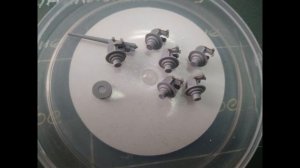 Крейсер Варяг Звезда 1:350. Часть 6. Установка палубы и Led подсветка иллюминаторов на палубе