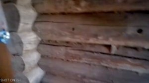 Жилой дом в деревне Еваново, Кувшиновского района, Тверской области.