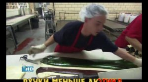 Лилипутик Малежик флеш