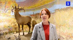 Сихотэ-Алинский заповедник приглашает на прогулку по заповедному лесу