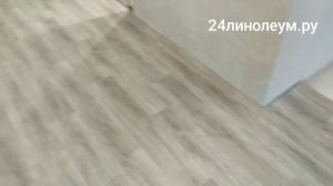 Tarkett Idille Nova. Рассчитать линолеум в магазине, правильно или нет? Большая кухня и коридор