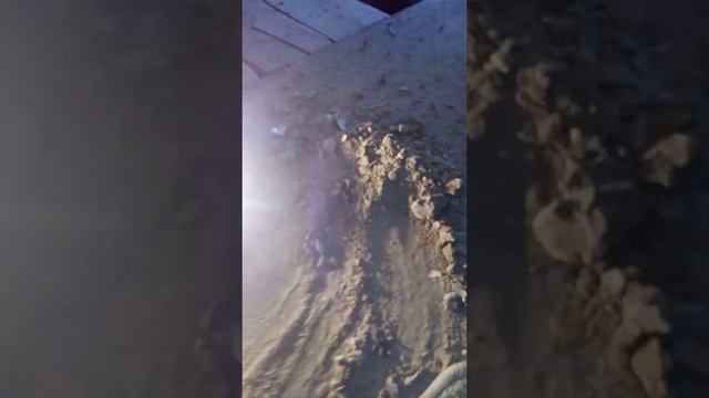 Пороги rd1 смотреть онлайн