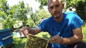 Приглашаю на мастер класс матководство
