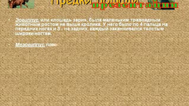 Презентация Лошади смотреть онлайн