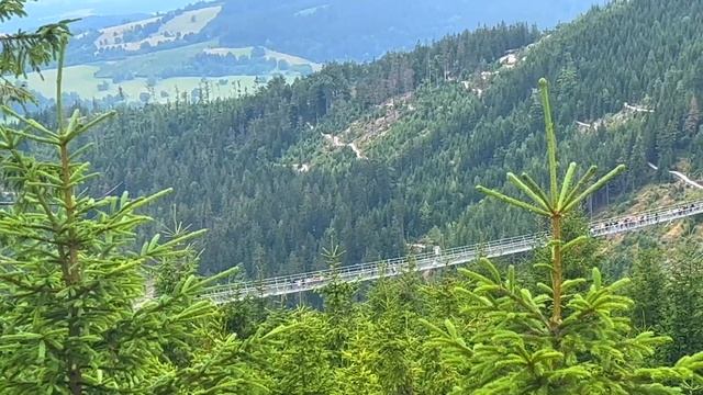 САМЫЙ ДЛИННЫЙ ПОДВЕСНОЙ МОСТ В МИРЕ SKY BRIDGE 721/ЧЕХИЯ. смотреть онлайн