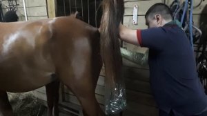 Искусственное оплодотворение