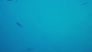 Глибокий сон за 30 хвилин Усунення підсвідомого нервову Зцілення розуму, тіла та душу