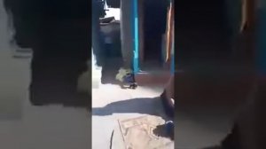 Дети задохнулись в холодильнике