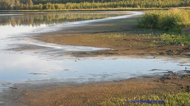 Гидробиология Забайкалья. Последствия аридизации: снижение уровня озера Котокель смотреть онлайн