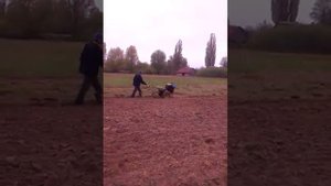 Посадка картофеля мотоблоком зубр под плуг.