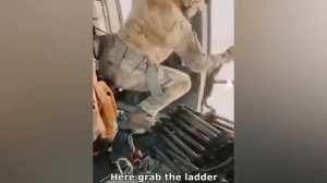 Смех сквозь слезы #52