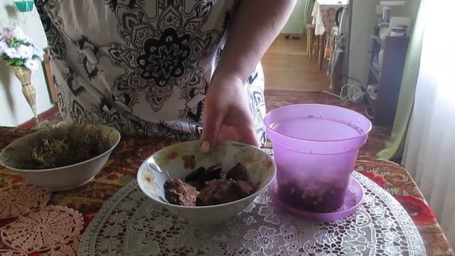 Пересадка детки орхидеи смотреть онлайн