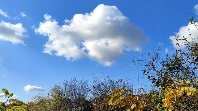 10 причин, почему мужчина избегает эмоциональной привязанности к женщине.