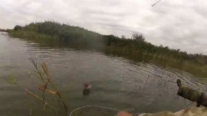 щука на Карповке