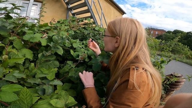 Путешествие в Копенгаген | В поисках Smørrebrød | Замок Фредериксборг (Хиллерёд) | Столица Дании