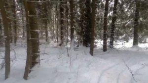 ЛайтПокатушки! Следы лося. Катаемся на снегокате по лесу..mp4