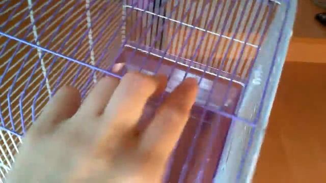 Клетка для хомяка: какую выбрать? часть 2 смотреть онлайн