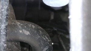 Skoda Kodiaq! DSG в масле ? Приплыл?? Шкода Кодиак! О минусах, с которыми я столкнулся ?