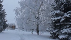 ТАКОГО СНЕГОПАДА ДАВНО НЕ ПОМНЯТ ЗДЕШНИЕ МЕСТА !