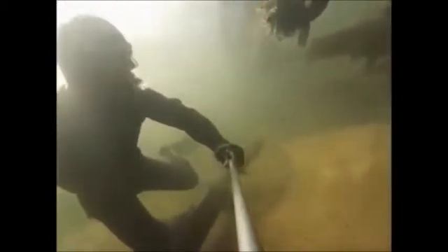 Южный флот: гигантские сомы в Астраханской области смотреть онлайн