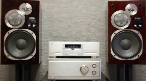 Pioneer CS-3000A