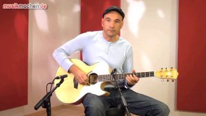 Washburn EA40SCE Akustikgitarre im Test