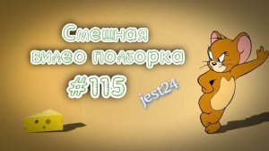 Смешная видео подборка #115