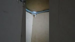 Работа в ООО "Монтехком" условия быта в п. Тухард