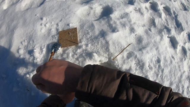 Пришла весна, последние деньки на крепком льду/проверка жерлиц, река Которосль
