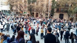 Барселона. Национальный танец Каталонии сардана.