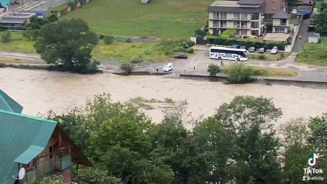 Сочи#Лазаревское# Река Псезуапсе# дерево с корнем смотреть онлайн