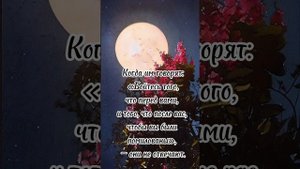 Сура Ясин . Чтец Мансур Ас Салими .