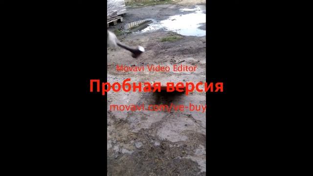 Полимерпесчаная тротуарная плитка - не ломается. Тест на удар. смотреть онлайн