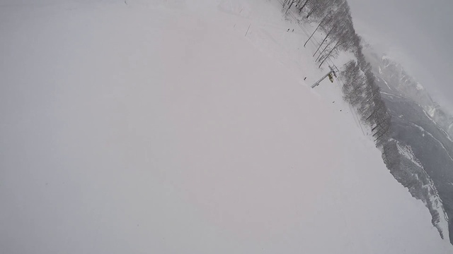 РозаХутор2016