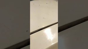 Установка подкрылков | локеров