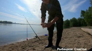 Язь и Лещ на пенопласт Рыбалка в Сибири