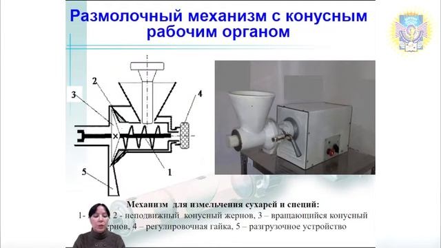 Измельчительное оборудование предприятий общественного питания