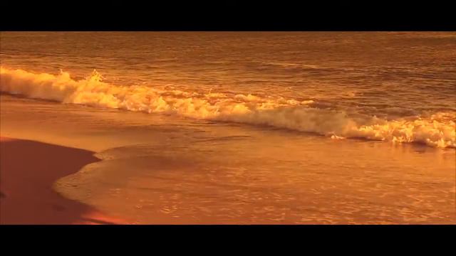 Видео-открытка из Турции, отель Sunis Elita Beach Resort Hotel & Spa смотреть онлайн