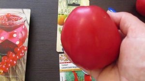 Дегустация томатов Дабл Хат и Сибирский Медведь.23.08.2019