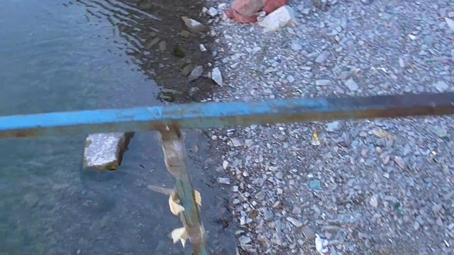 Рыбалка на ИЛИ, Жерех, Кукуруза, Покрышка смотреть онлайн