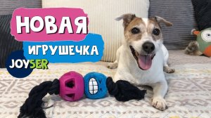 Вот оно - собачье счастье! У Джека новая классная игрушечка трансформер. Носится с ней второй день