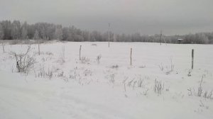 Будни на ферме: Электропастух зимой, вода замерзла, коровы в навозе.