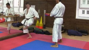 йоко гери кеаге yoko geri keage