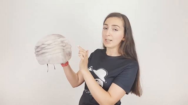 Шапка, Рена Жемчужная