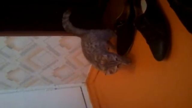 Шоколадное пятно смотреть онлайн