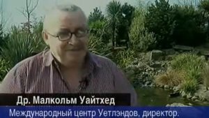История возникновения Черного моря